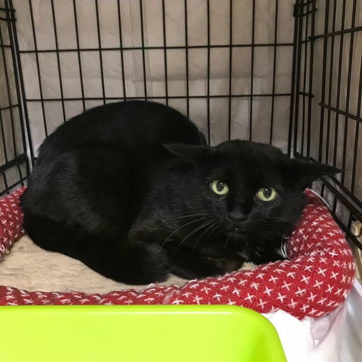 10b6d87f cbf9 467b aa05 d7950e1973c7