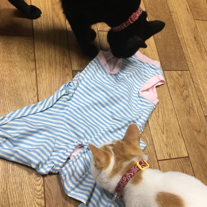 10b91c46 3214 4665 b618 2cdae95816df