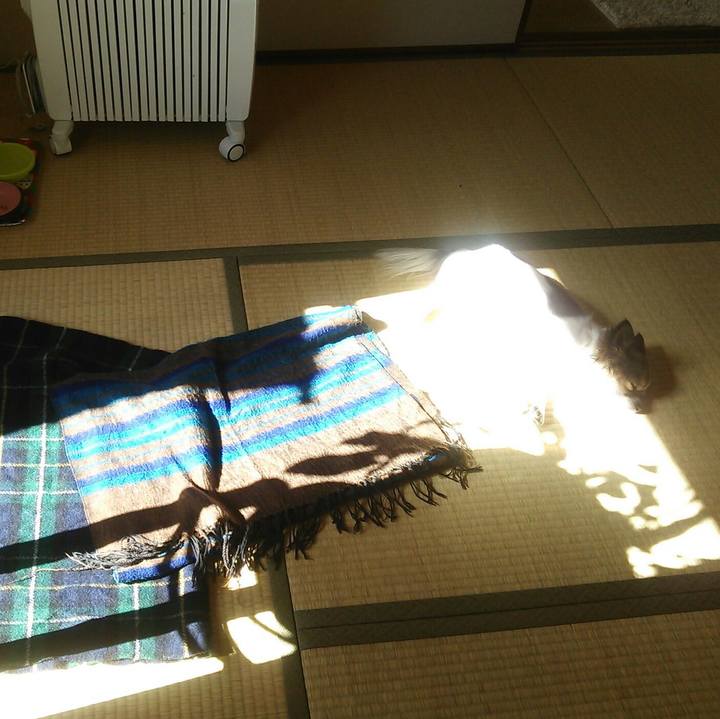 10b92770 aa7d 4080 a4ba 44ff44fdac6b