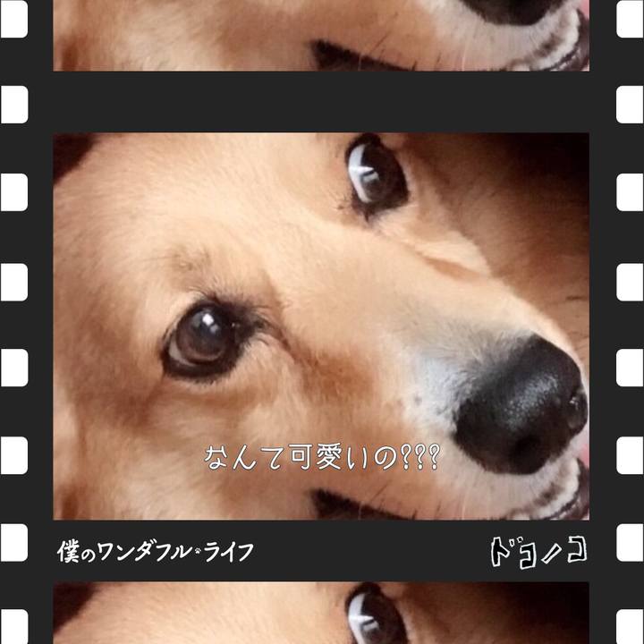 10b9586b 4124 4079 b6d6 2d45f3673569