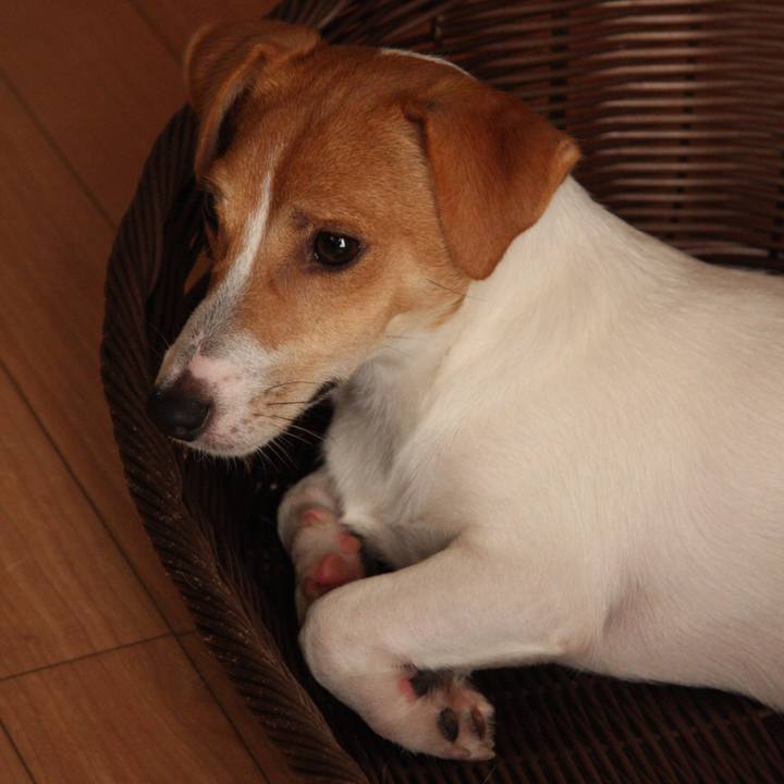 10b97045 de75 46cf abdf 25175a609c51