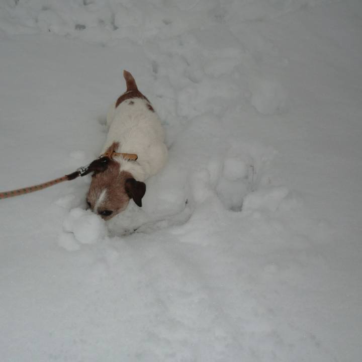 10b9b0e9 c7ce 4d61 9b02 c4bb18265500