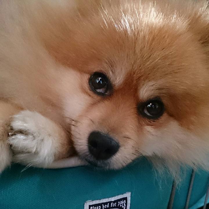 10b9ead5 b32a 4ff5 a1a9 d74a3e757fcb