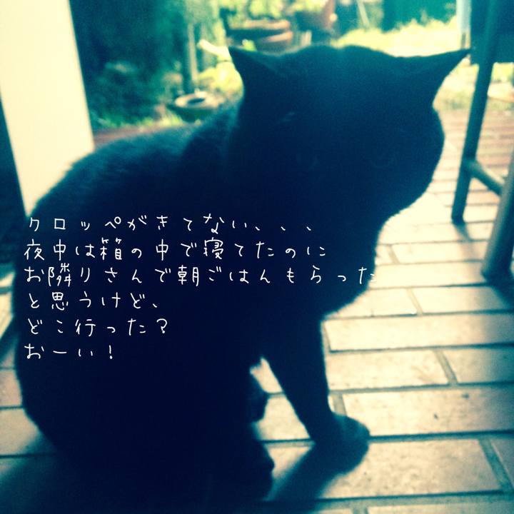 10ba02b5 529a 43de aa68 20b20f98340e