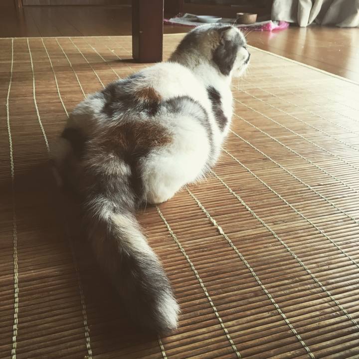 10ba6dea 11f3 4c0f b1de de568df934c1