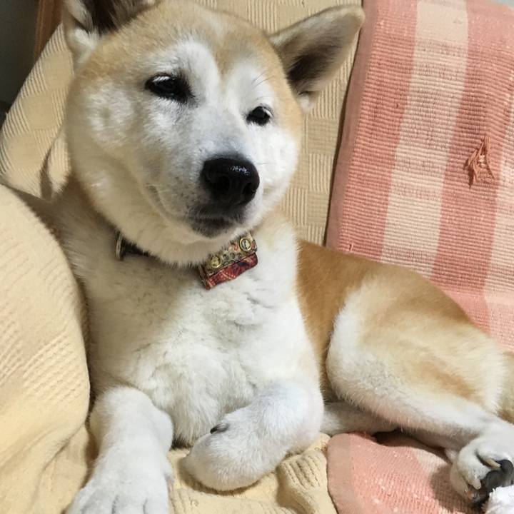 10bb4cdb dca2 4050 a066 b00fd7b22898