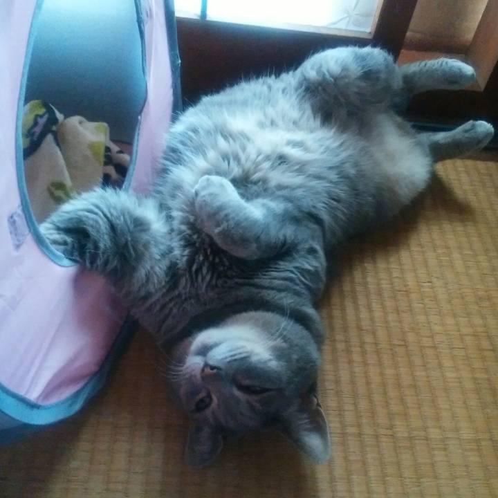 10bb6ccb b5fa 45ff bbb4 919734ee528b