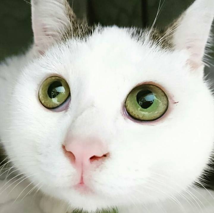 10bb90ed ae66 40a7 bfc4 8e3e7602f48c