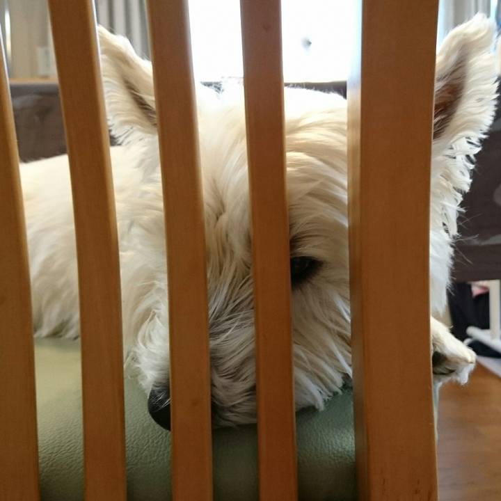 10bc3135 2df8 45ab 9cc7 105715e7ce78