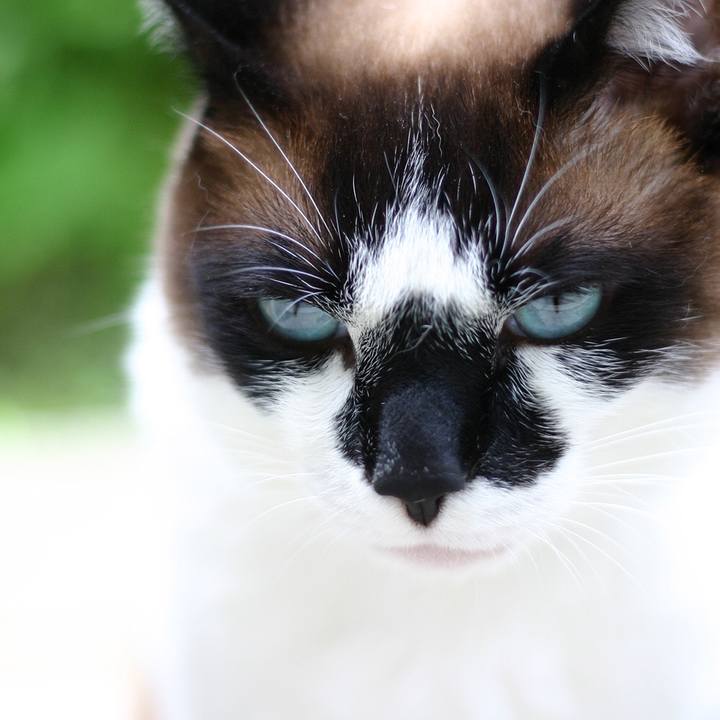 10bcc955 cc7f 4d0e 9839 5af081ce8e0c