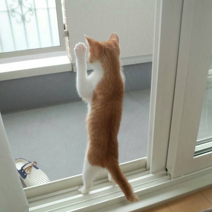 10bd300d c79c 4df6 adf8 3f9a36d3fb1d