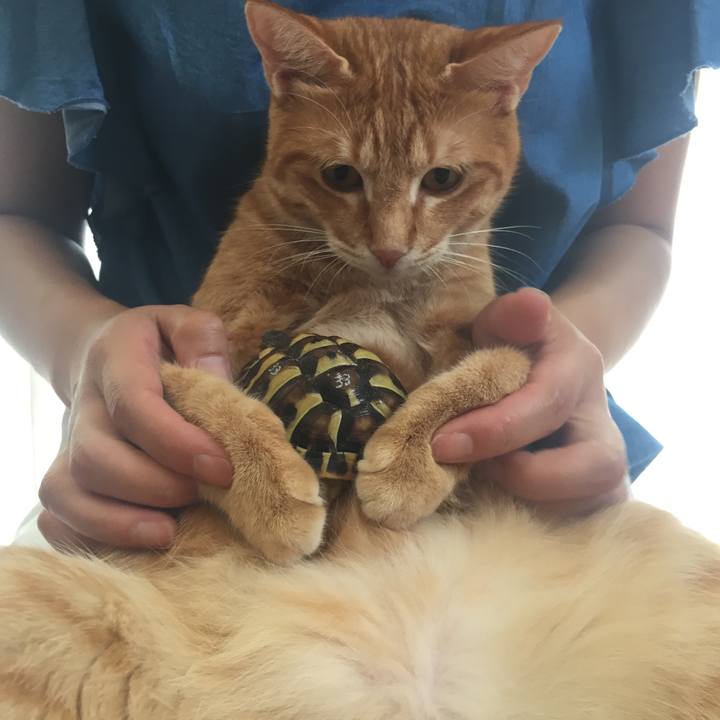 10bda54d 77bb 481f 9c71 b26a8ffa8e96