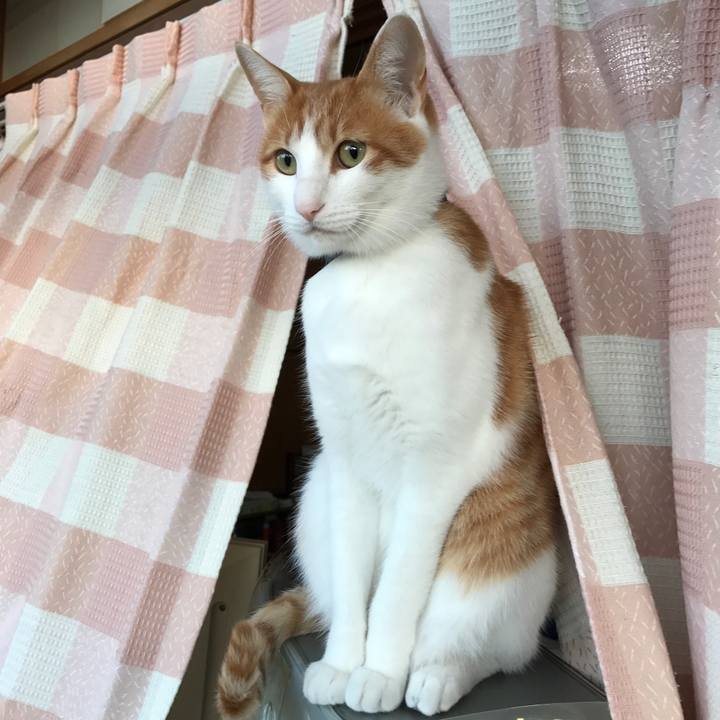 10be2c9d a1bb 42c2 b169 d2202ddad5cb