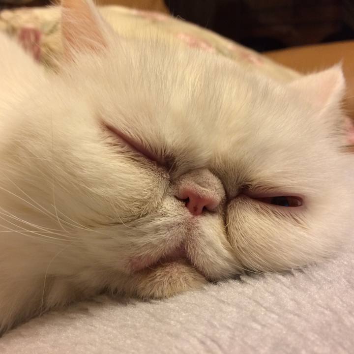 10be5b8c 109f 4ea2 8aac ab8afb195591