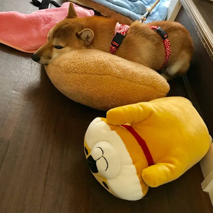 10bed7a9 c258 443d 97eb 2e9fd2d12fbb