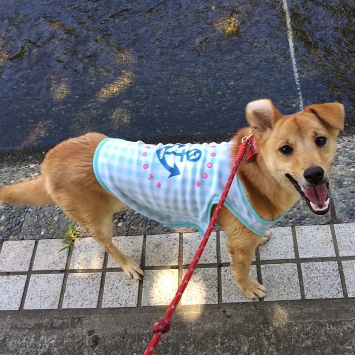 10c078d2 9ece 4c63 b39a a13c478af6b0