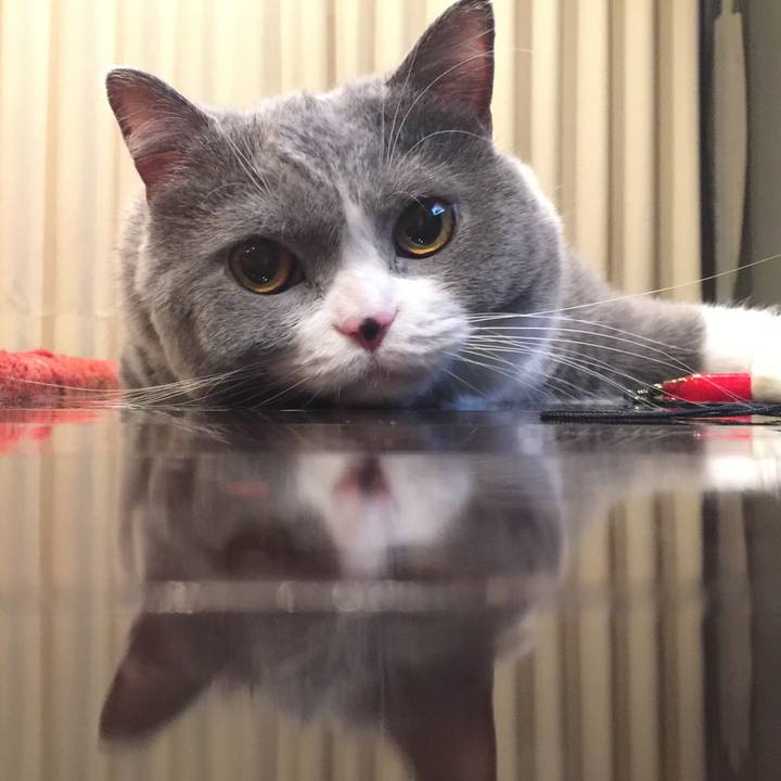 10c1c421 d884 4a4c a126 f30343ea7aeb