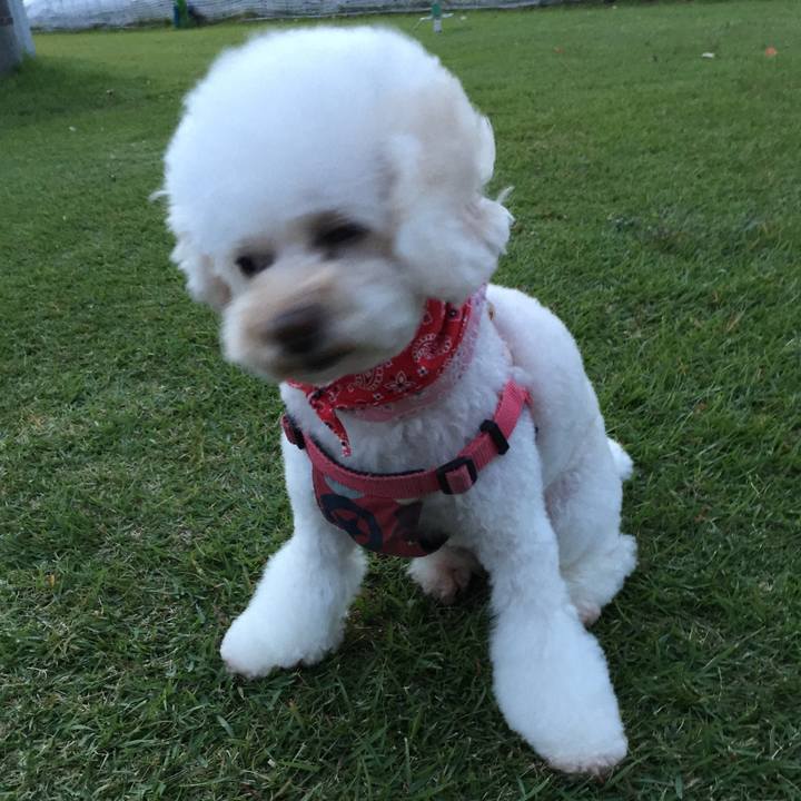 10c1cace 3ca9 4f26 91d6 1e39cc5fce7c