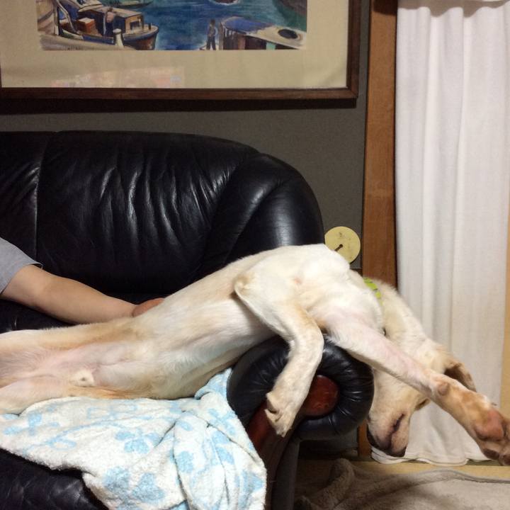 10c2208e 7d35 432b b199 6636f7a3db65