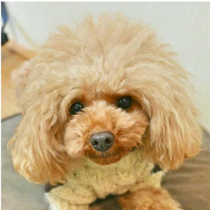 10c2996d 457b 49be b55d 84f29203cb32