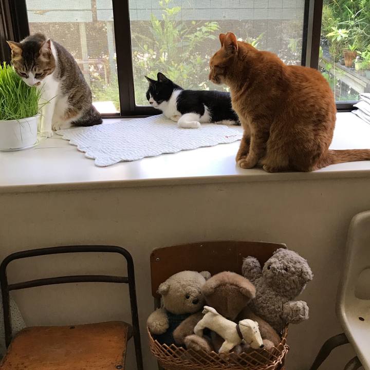 10c2dbdf 3d71 43c7 8218 be89d9191bda