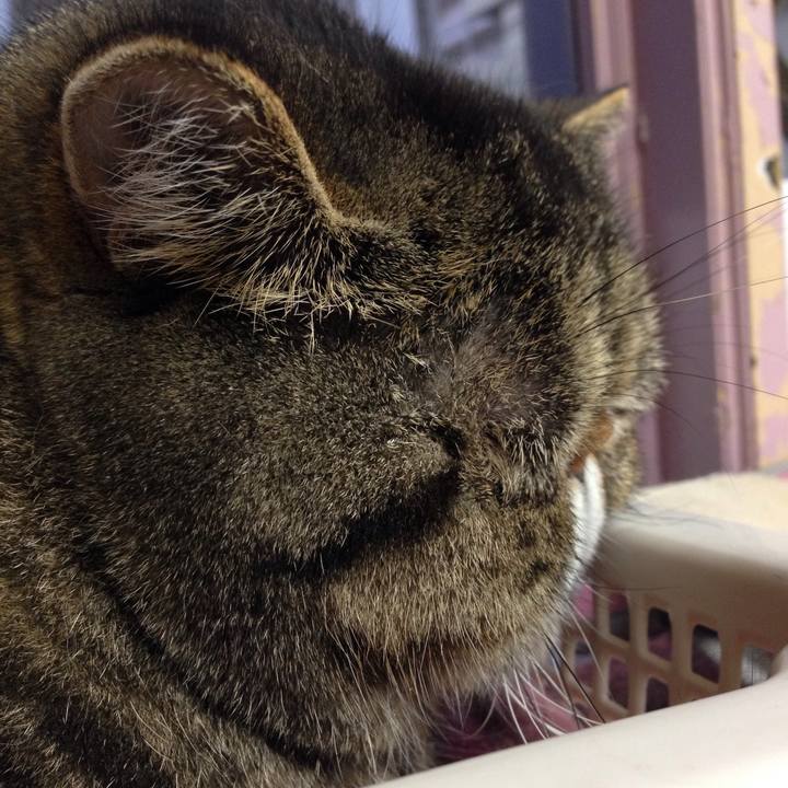 10c35b06 094a 4da6 9b0b 8b1be77e7e9a