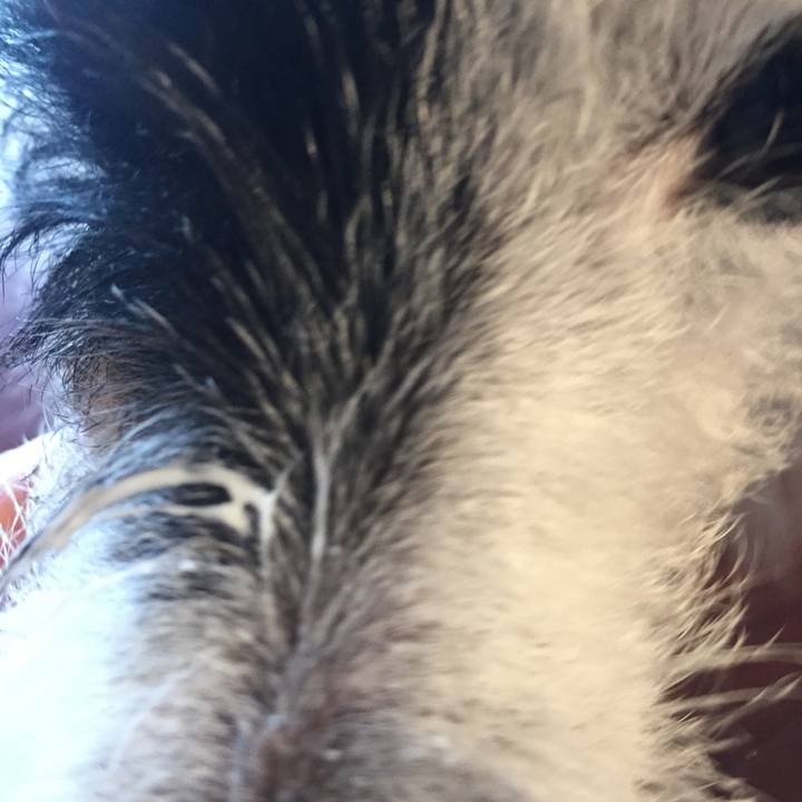 10c41f2d c126 45c4 9393 d42ed3c2f9b4