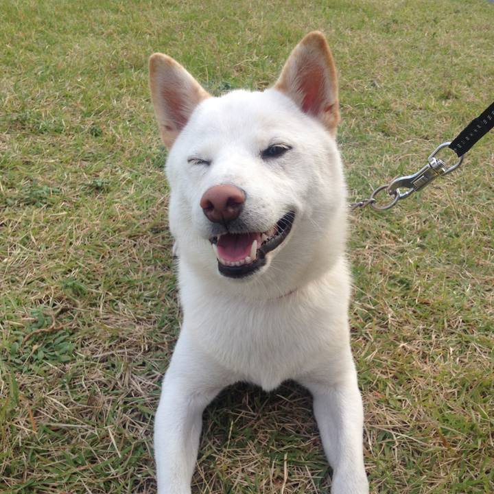 10c4a34c 28b6 4aa1 8d1d f0a0b7411cc6