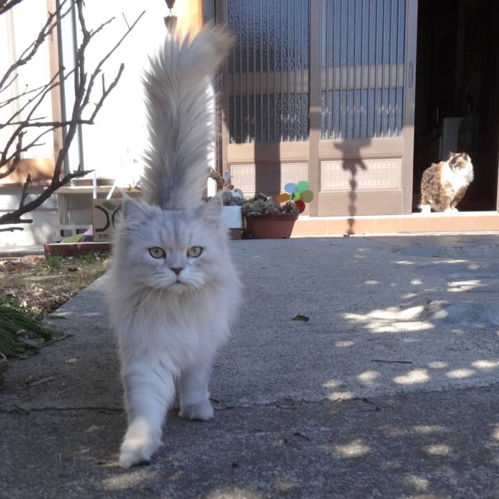 10c60e6e 7bee 4156 9931 934918595fc2