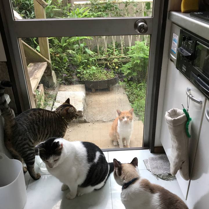 10c69124 7cc4 43a2 b8ce 2d15fff8ca99