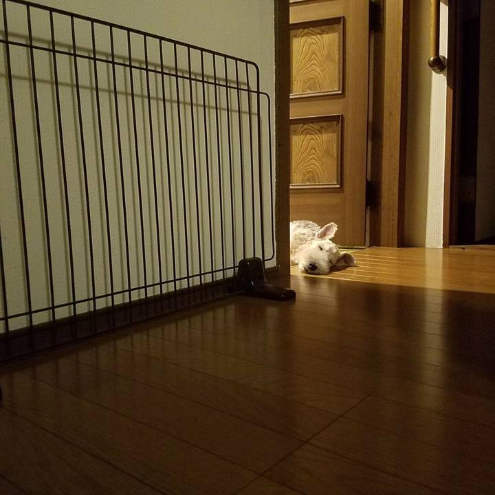 10c6e86d 6780 4997 ba98 5f106144f132