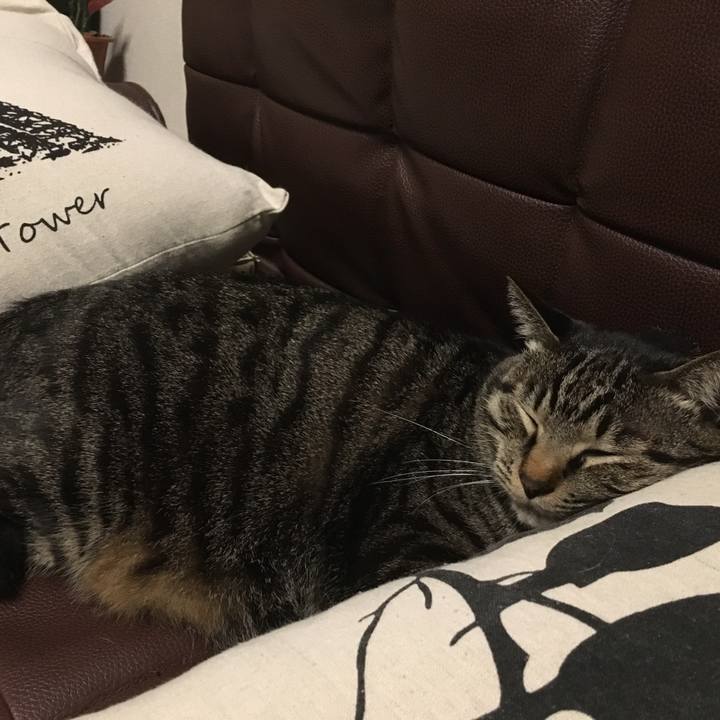 10c73d86 85a3 468d 8368 0373f6dee1d3