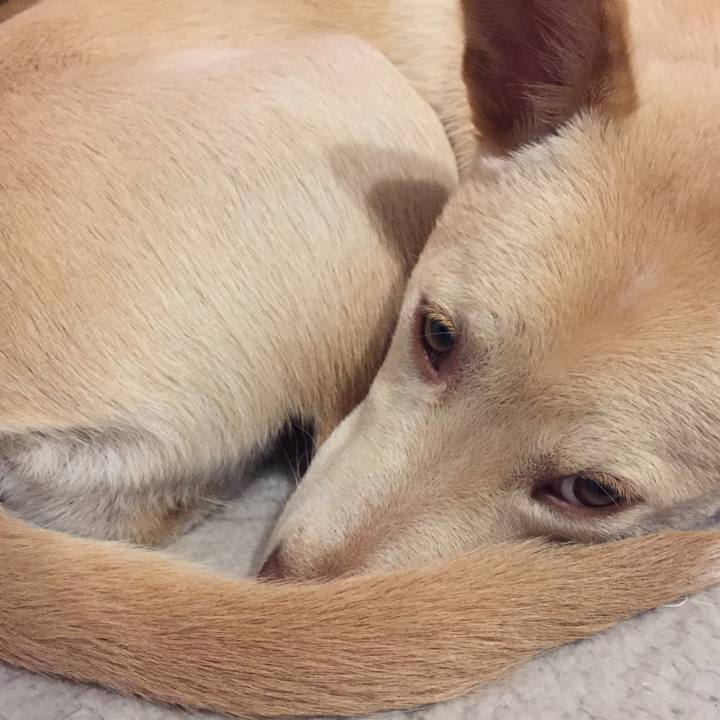 10c7f3a6 1e5f 4f6b 9eb6 8019d78369f6