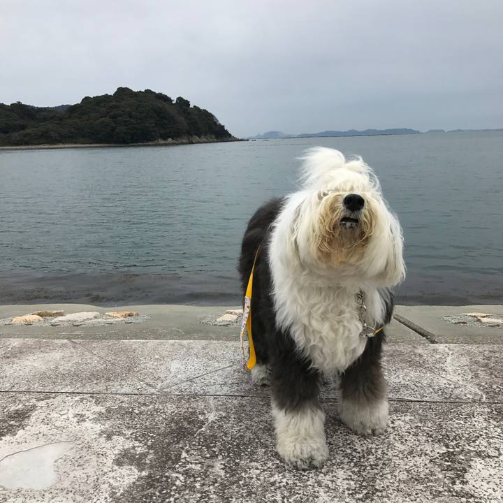 10c813df f4f3 4a66 a657 644aa9724fa3