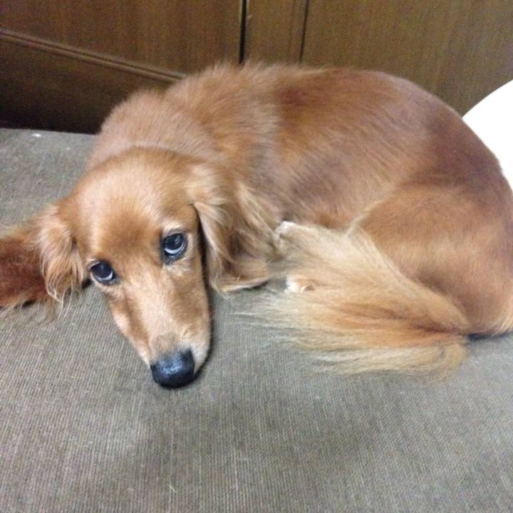 10c849f4 7230 4de5 8569 bdb14a95fcf9