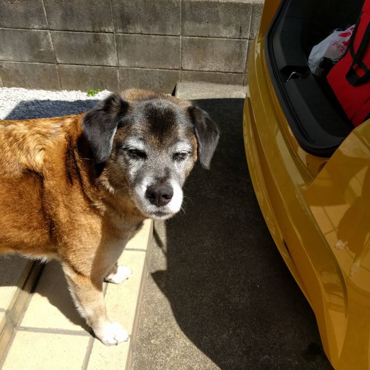 10c8a4a9 ece5 4421 bf16 80344a0b8c20