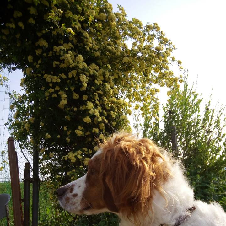 10c939ec cad0 4fa1 9438 505463673fec