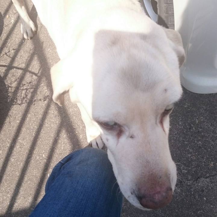 10c96e98 3389 47ed 827a 52a3d417c2b6