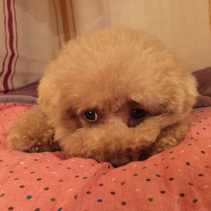 10c9a70d 83ee 43bf aafd c79f0269057d