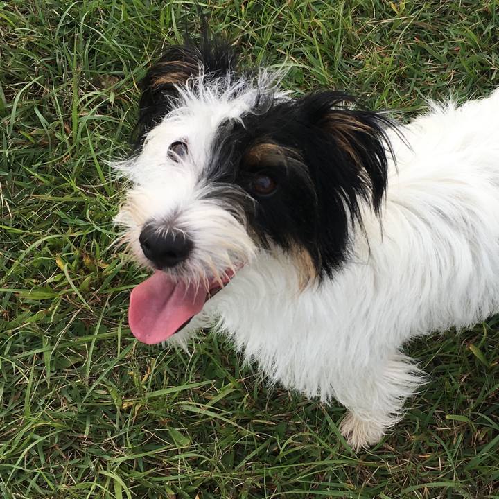 10ca4906 ac88 4fde 8008 638ef4dd176c