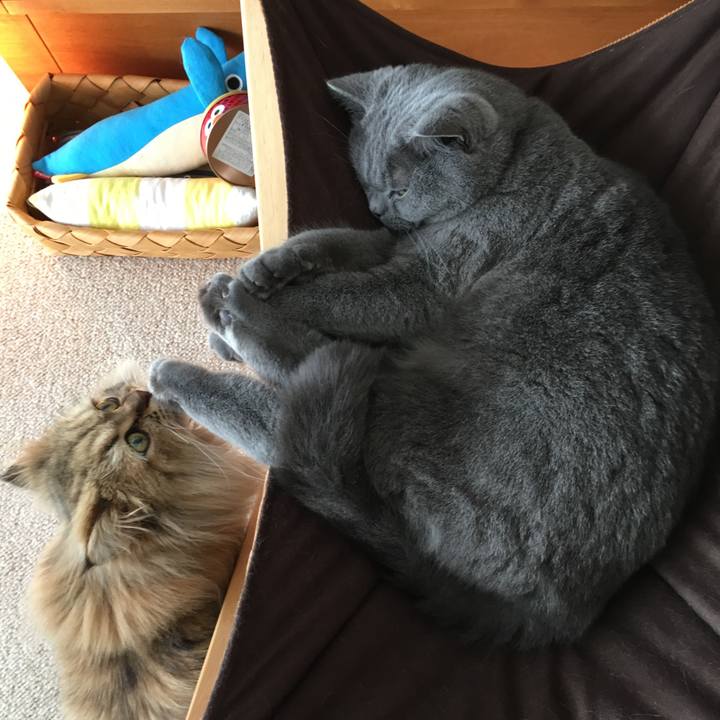 10caad94 8b06 492b a7ed eefb7a011292