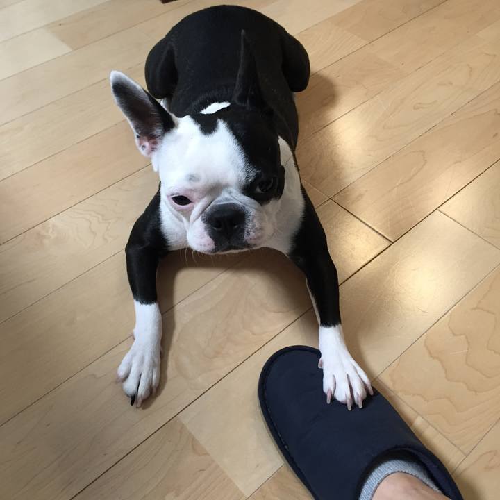 10cac4a1 906d 40ae 9ebc c1f9380ec4f4