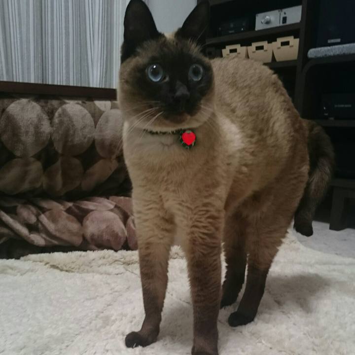 10cac71e d0cb 4d77 b03f 902cca5dea36