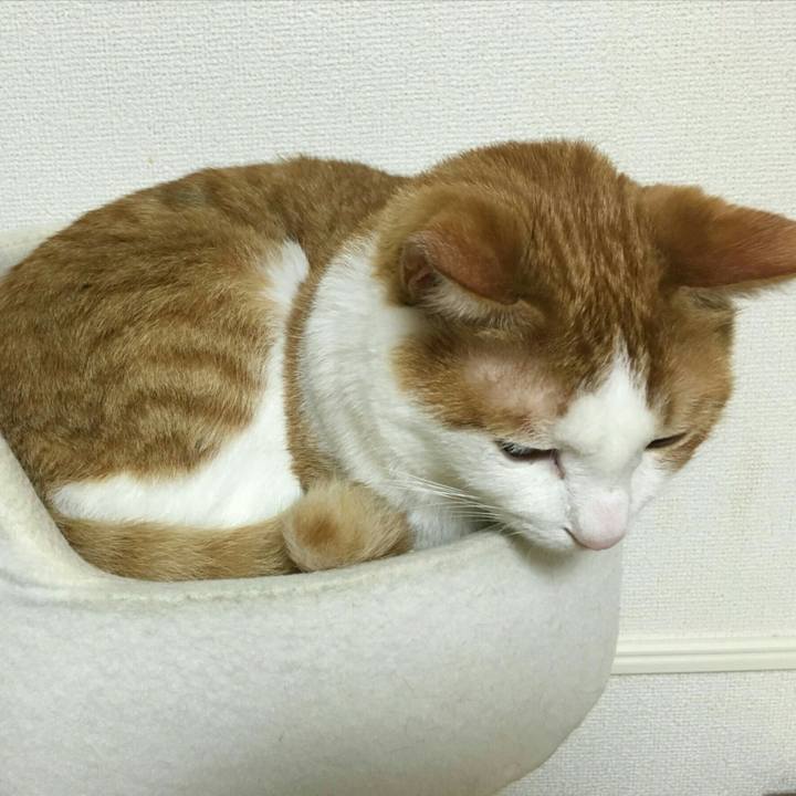 10cb1d1c 3801 4b92 a267 9927e2b737af