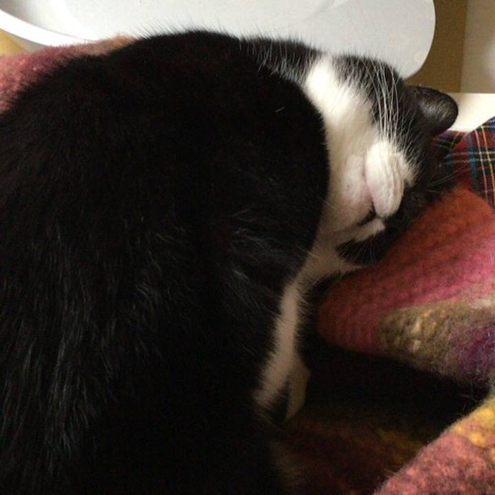 10cc7217 f246 47ec b421 b8a82a078acf