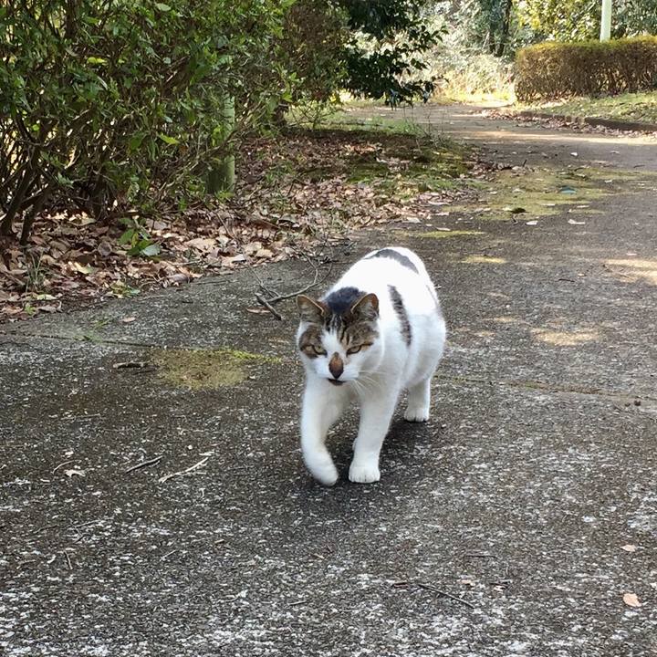 10cd29c9 022f 4943 84a6 1eb12429b943