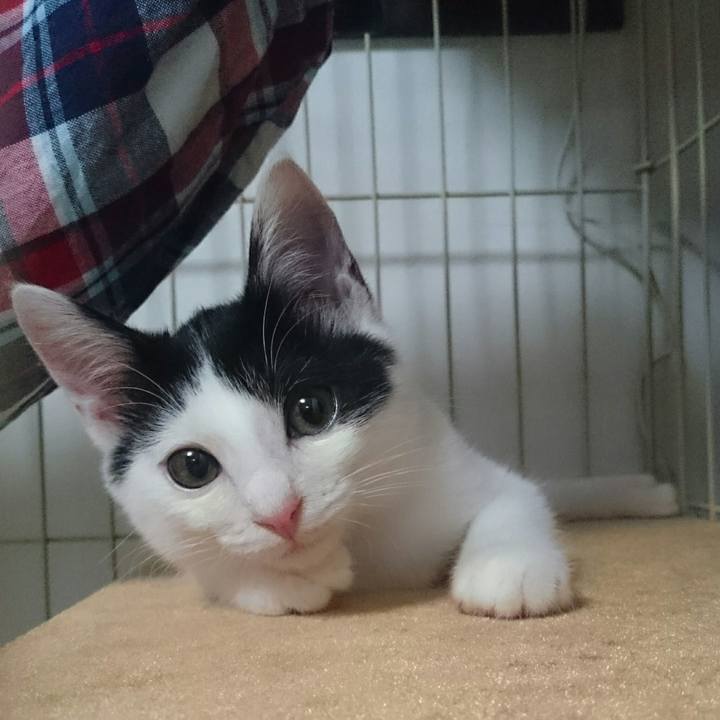 10cd457d fecb 49dc 9bbc 23d09714d259