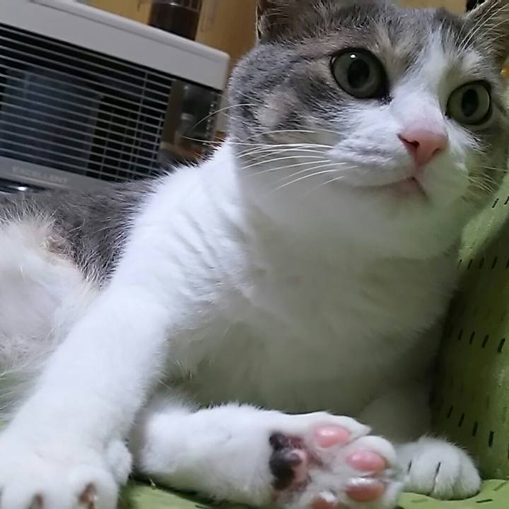 10cdea3c bca1 4a31 aa73 4f3b8453c229