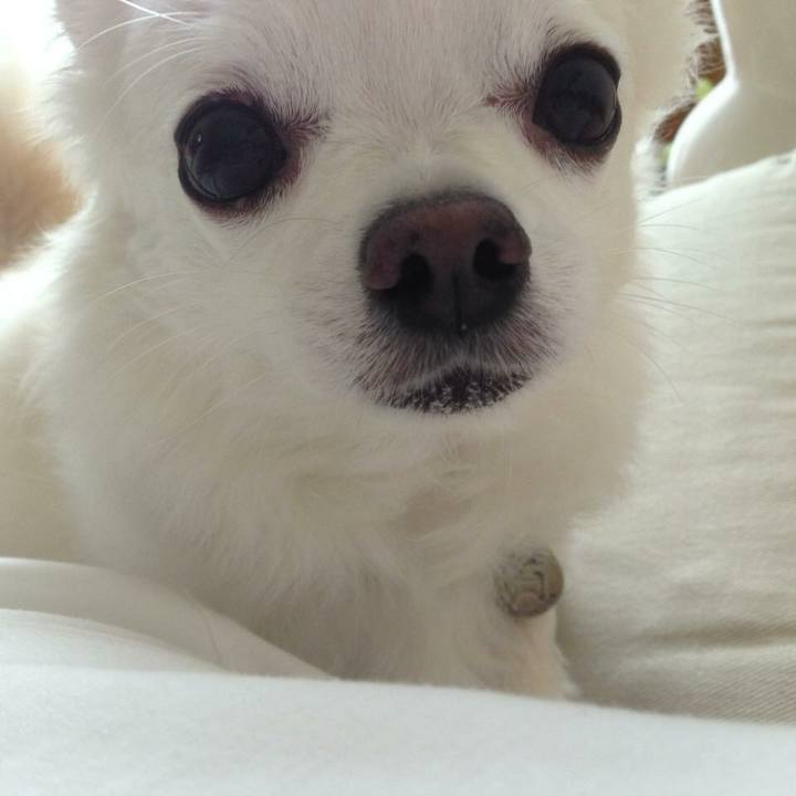 10ce0cd5 f337 49df 8505 bfea273c0e45