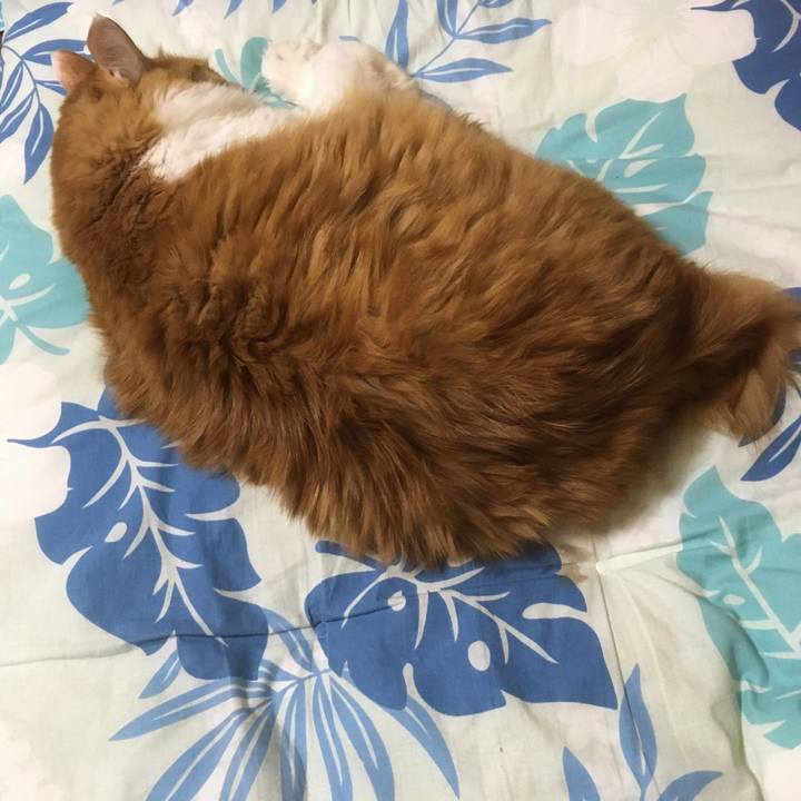 10ce3d87 e576 4dfa 9a1e 1f7855029cc1